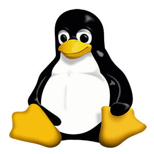 Zastanawiasz się który Linux wybrać? Tu znajdziesz odpowiedzi.