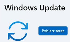 Rozwiązywanie problemów z aktualizacją systemu Windows 11